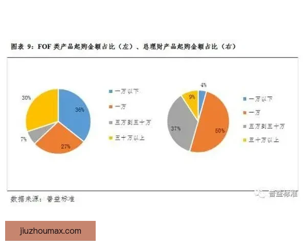 全面解析体育竞猜平台发展趋势与风险管理策略
